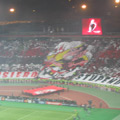italian soccer fans